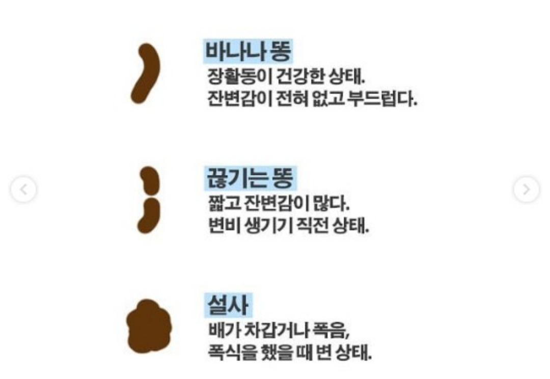 똥 모양 건강상태 